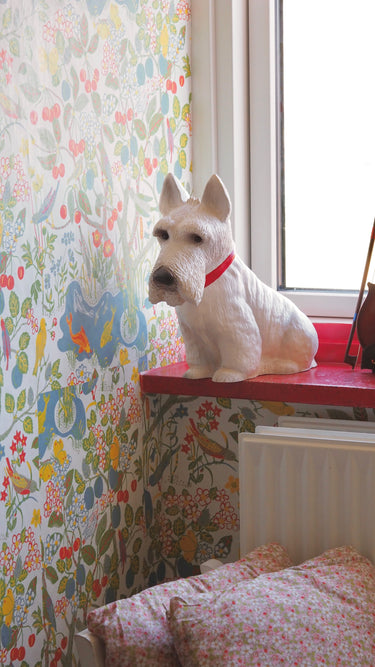 Scotty Lamp