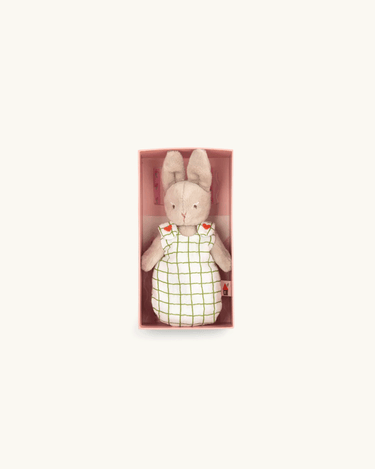 Baby Nine Bunny in a Box